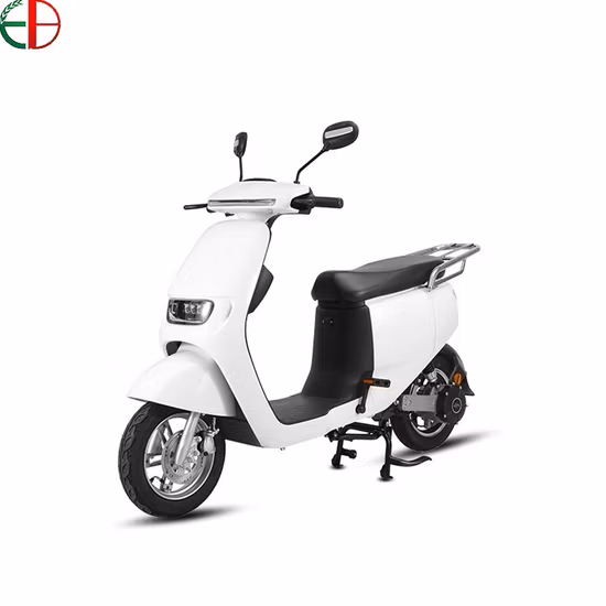 City Bike 1000W/1500W/2000W Motor E Roller Power Elektrische Motorrad Elektrische Fahrrad Erwachsene