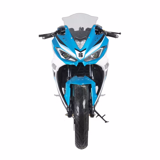 Blei-Säure-Batterie Lithium-Batterie OEM-Elektromotorräder Großhandel